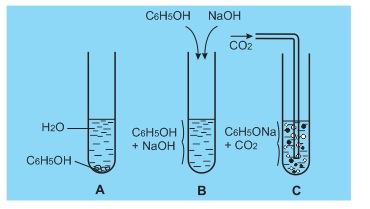 hinh-anh-bai-55-phenol-363-3