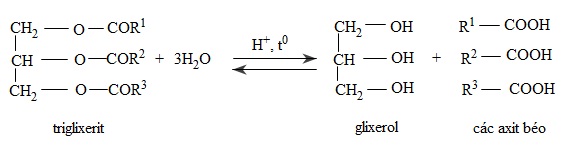 hinh-anh-bai-2-lipit-372-4