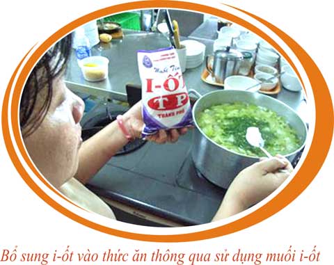 hinh-anh-vai-tro-cua-muoi-iot-doi-voi-co-the-con-nguoi-262-2