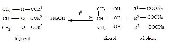 hinh-anh-bai-2-lipit-372-5