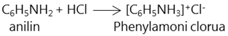 hinh-anh-chuong-3-amin-amino-axit-va-protein-221-3