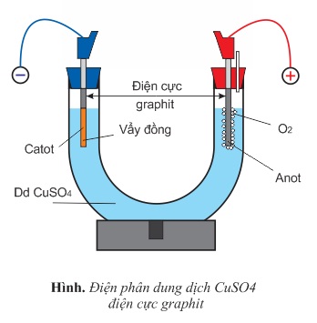 hinh-anh-bai-22-su-dien-phan-386-2