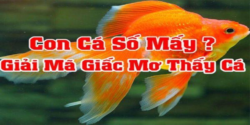 hinh-anh-nam-mo-thay-ca-danh-so-gi-nhung-giac-mo-day-bi-an-1361-1