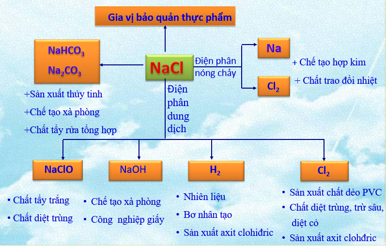 hinh-anh-bai-10-mot-so-muoi-quan-trong-83-1