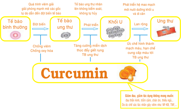 hinh-anh-hop-chat-curcumin-chat-chong-ung-thu-264-1