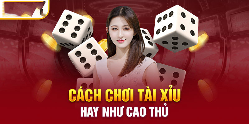 hinh-anh-bo-tui-bi-kip-chinh-phuc-moi-van-cuoc-tai-xiu-877-0