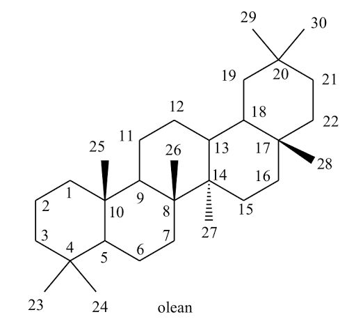 hinh-anh-saponin-312-0